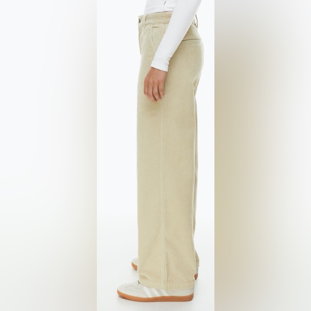 Aritzia TNA Ripcord Corduroy Pant